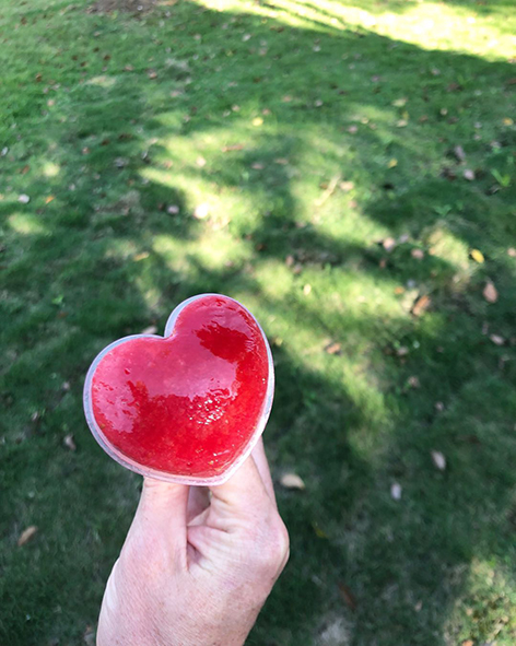 Sorbet à la Fraise maison sans&nbsp;sorbetière