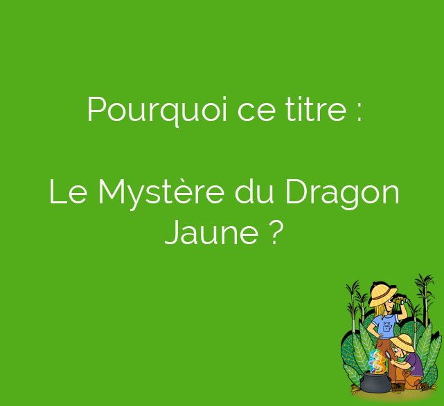 Pourquoi ce titre&nbsp;?